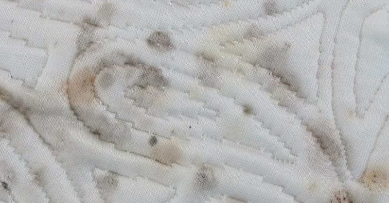 mold on mattress edges closeup