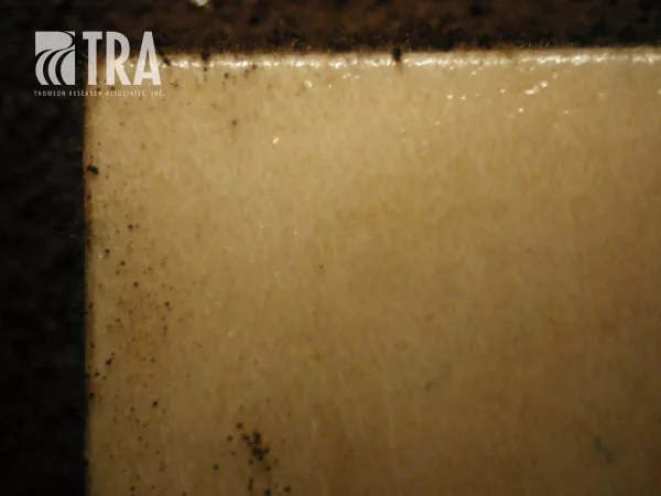 Wood coating without antimicrobial treatment