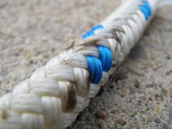 Cord with fungal growth