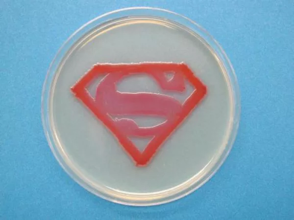 Superman logo using Serratia marcescens