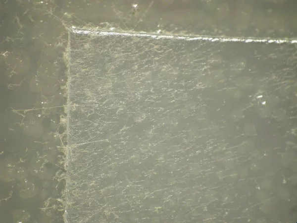 Polymer material without antimicrobial additive