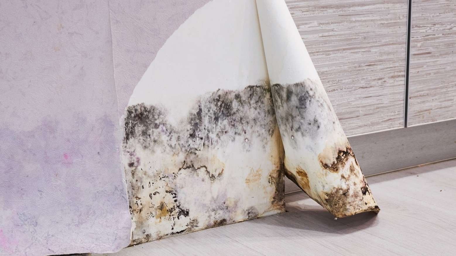 Mold behind wallpaper