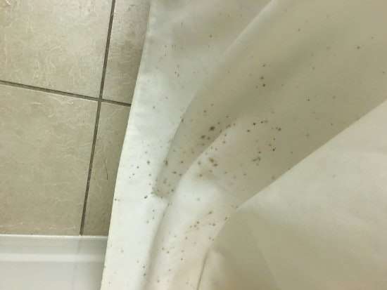 Antimicrobial masterbatches would help prevent mold on shower curtain liners