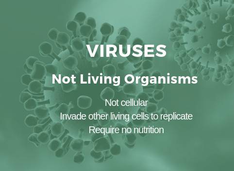 Viruses are considered to be microorganisms