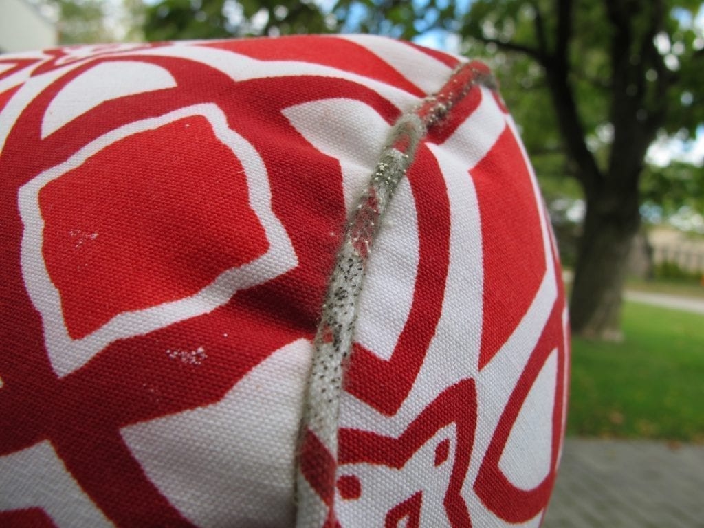 Is there mold or mould growing on the outdoor pillow? It really depends on where you live.