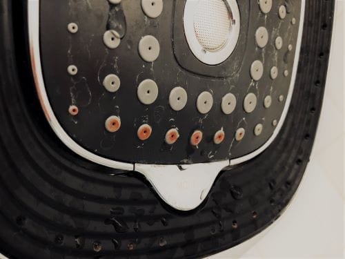pink mold on shower head