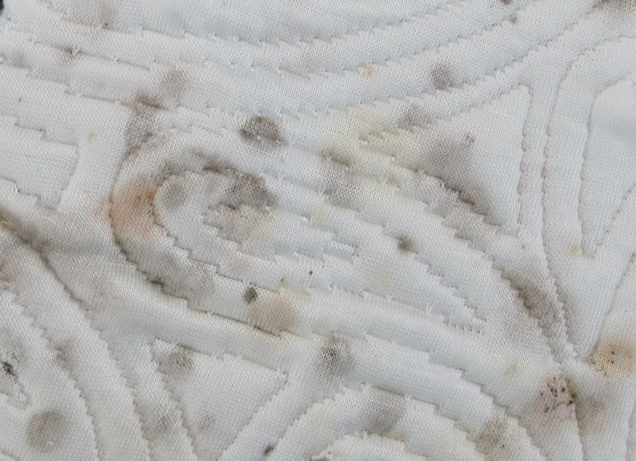 mold on a mattress