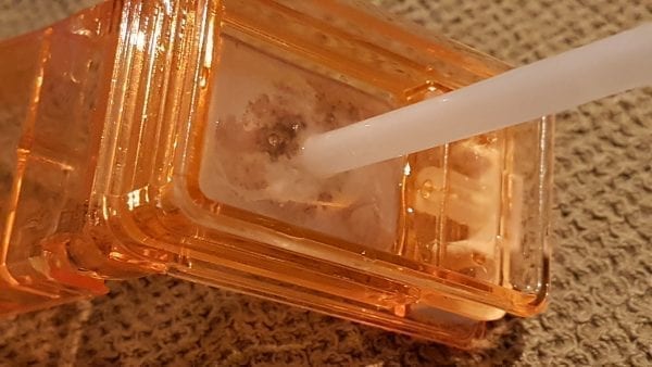 black mold in water bottle