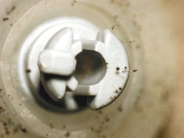 water spout with mold growth