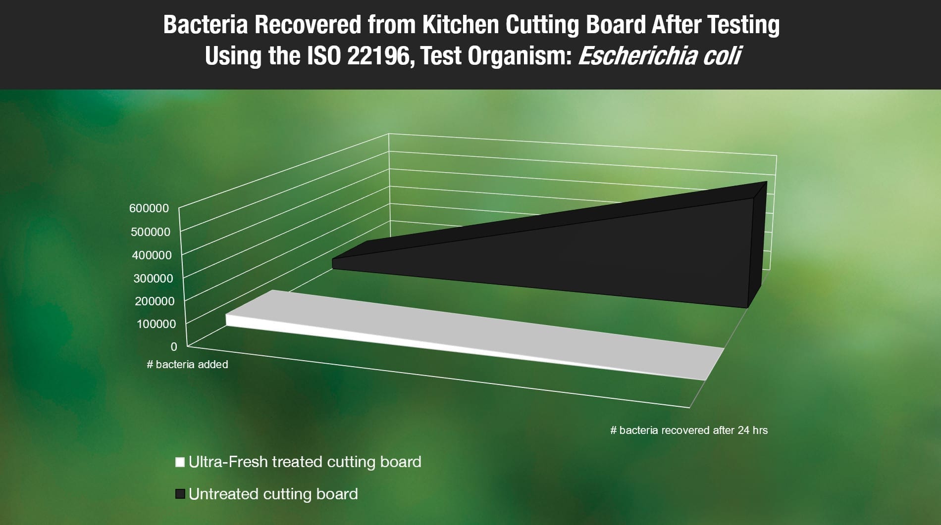 Bacteria growing on cutting board