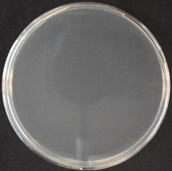 antimicrobial cutting board