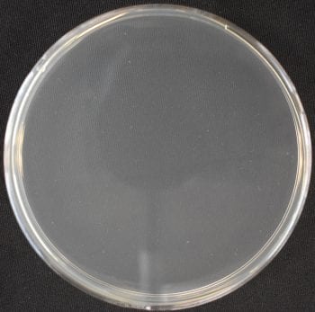 water storage tank remains free of bacteria